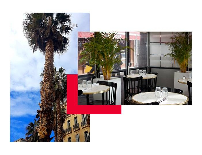 Le Restaurant - Best Of - Castellane Marseille - manger a Marseille